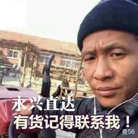 忠邦物流公司实景图片 2 | 查56物流平台