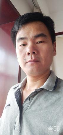 德哥物流公司实景图片 1 | 查56物流平台
