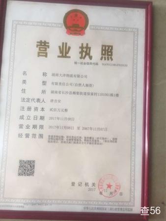 大洋物流公司实景图片 1 | 查56物流平台