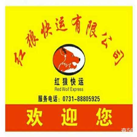 红狼快运公司实景图片 1 | 查56物流平台