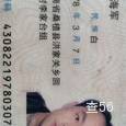 新榕物流|长沙至全国物流专线|查56物流信息平台