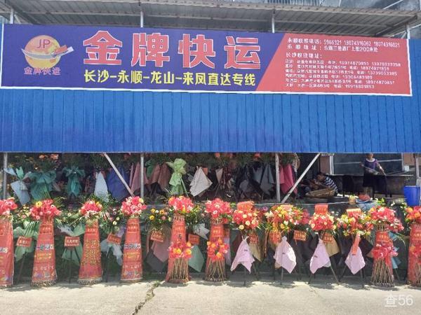 金牌快运公司实景图片 5 | 查56物流平台