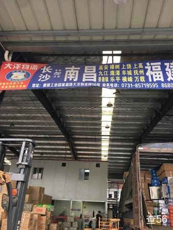 大洋物流公司实景图片 2 | 查56物流平台