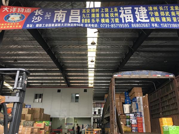 大洋物流公司实景图片 3 | 查56物流平台