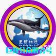 巨鲸物流|长沙至全国物流专线|查56物流信息平台