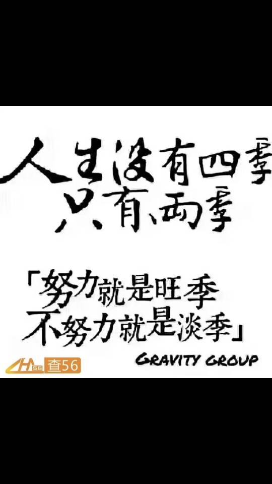 千城万顺货运|查56物流信息平台