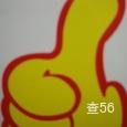指定达物流|长沙至全国物流专线|查56物流信息平台