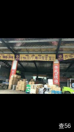 鹏海物流公司实景图片 2 | 查56物流平台